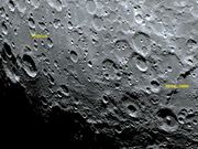 PICCOLOMINI & PITISCUS.