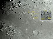 C. MAYER & C. Mayer D.