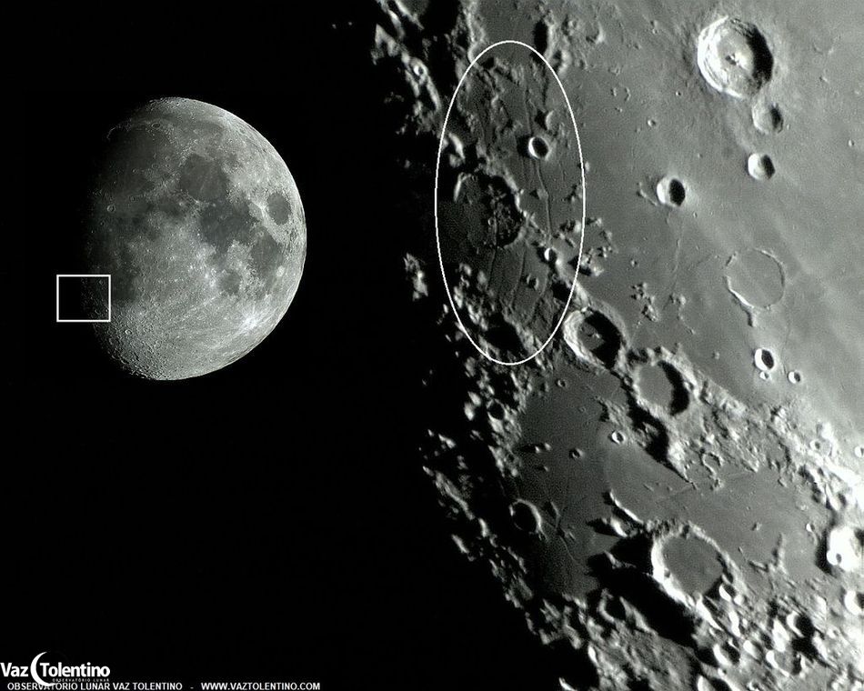 Image_110d